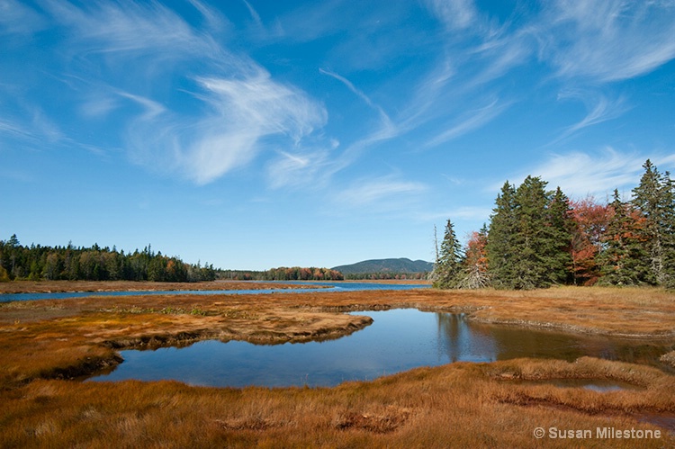 Marsh 1609, Acadia NP