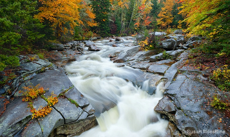 Base Station Gorge, NH 8563