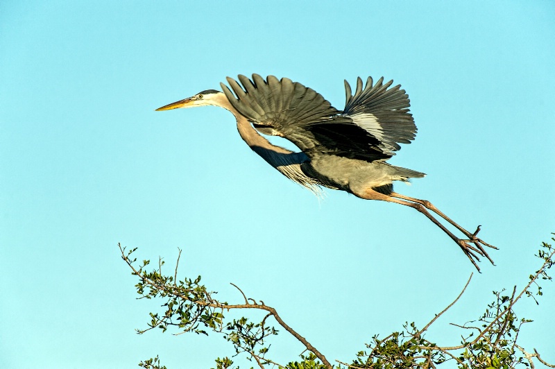 Taking Off