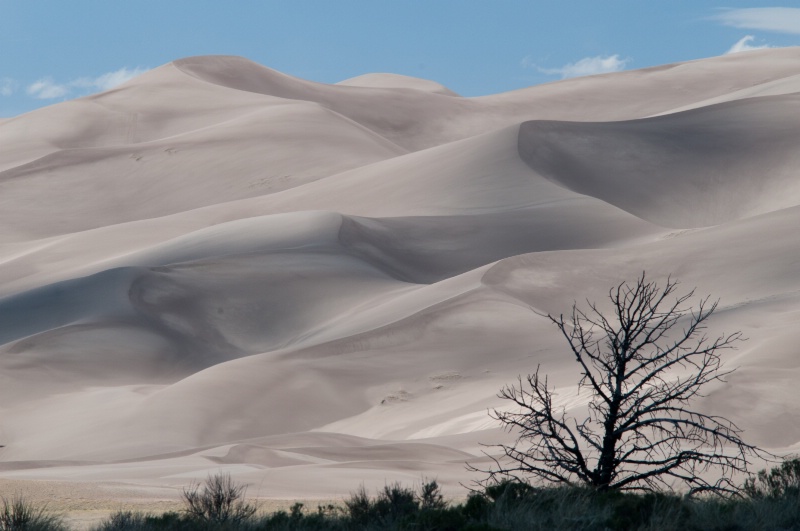 Dunes and Silhouette