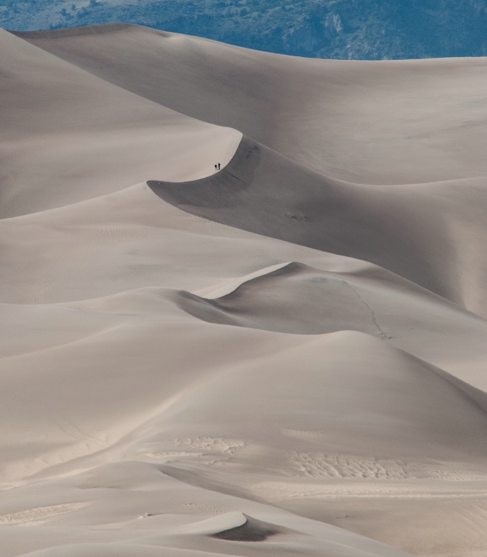 Spine of the Dunes