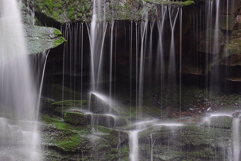 Delicate Flow
