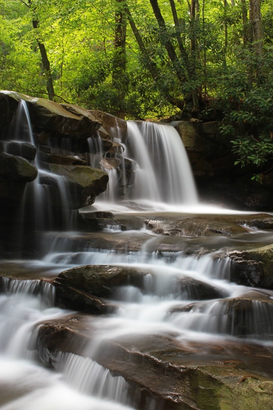 Falls Along the Trail