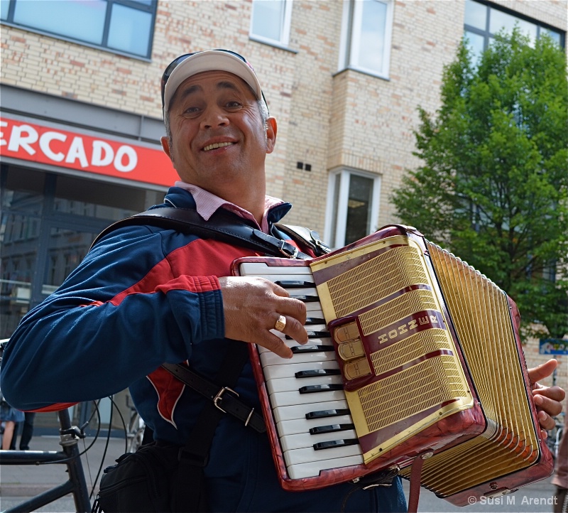 Accordionist