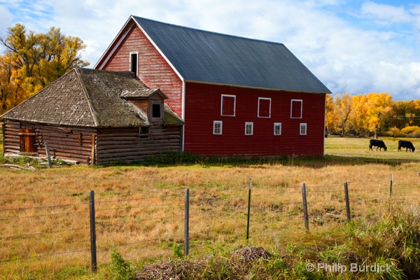 gunnison farmland