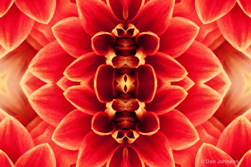 Orange and Yellow Flower-Kaleidoscope 