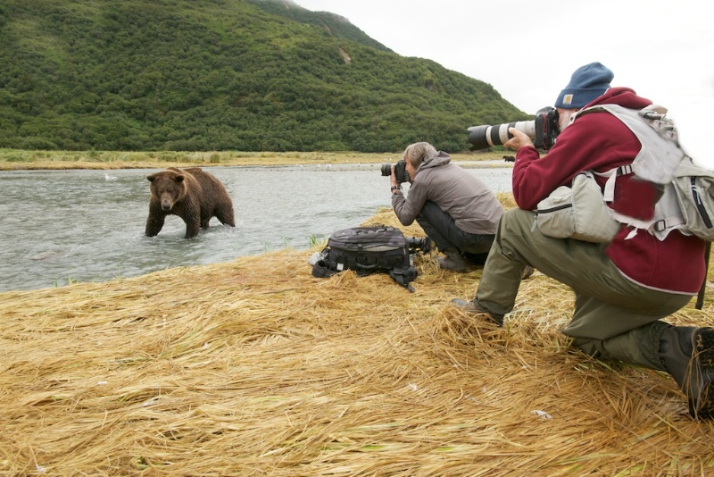 Brave Lou and Tom and Mr. Bear