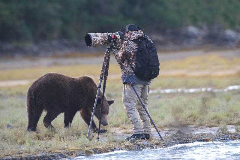 Bear Giving Howard the Eye