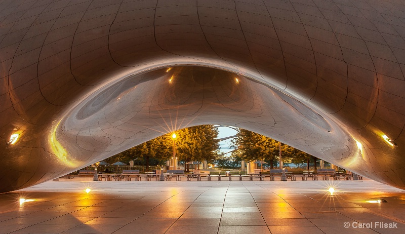 Under the Belly of The Bean