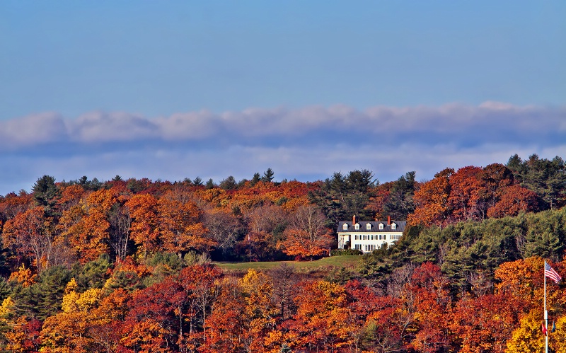 Surrounded By Autumn 