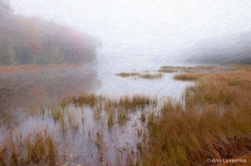 Morning Fog on the Pond