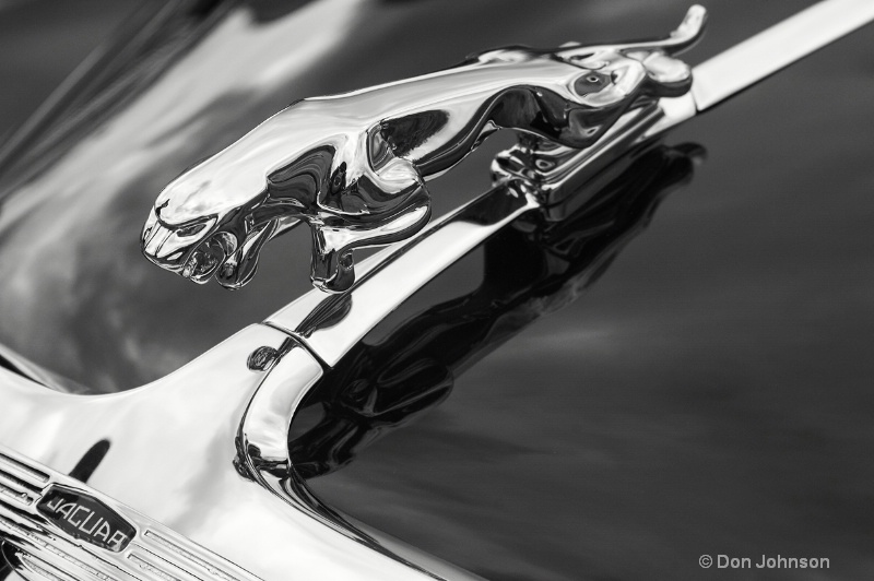 B&W Jaguar Logo