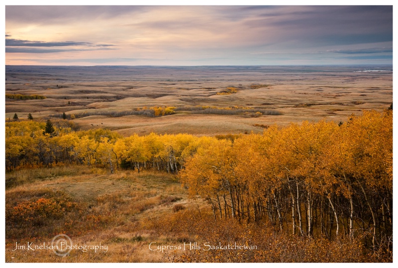 Autumn, Cypress Hills Saskatchewan