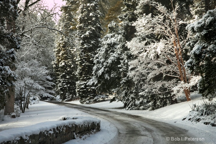 snowy road at the Biltmore