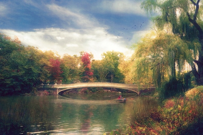 Autumn's Afternoon in Central Park