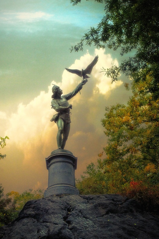The Falconer