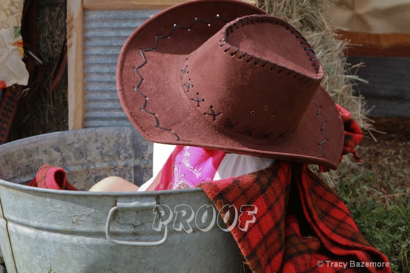 cowboyup2013-0142