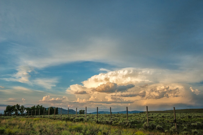 Field of Clouds