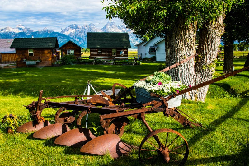 Moulton Ranch Cabins