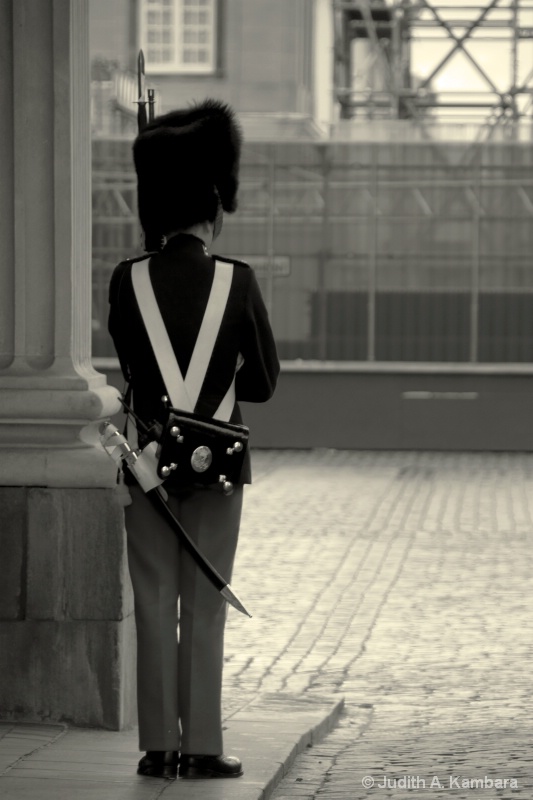 Danish Royal Life Guard