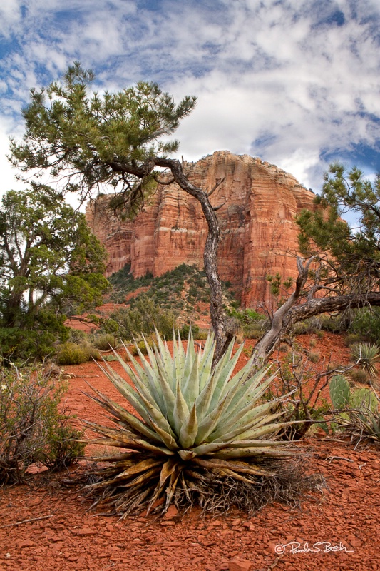 Sedona AZ