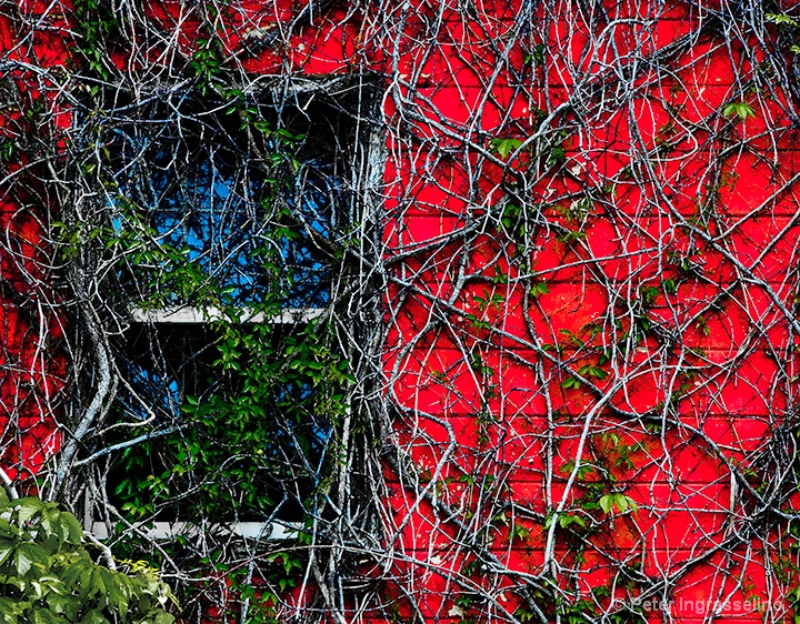 Blue Window