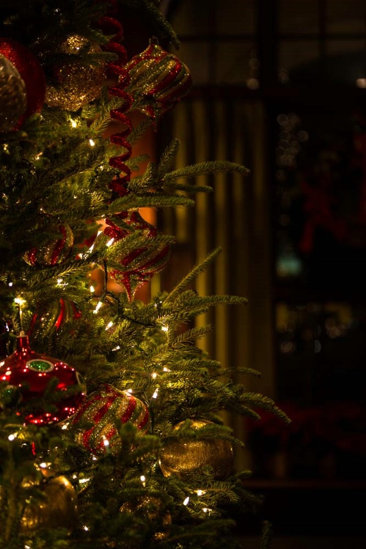 MT 12/13 - Christmas Tree  Evening