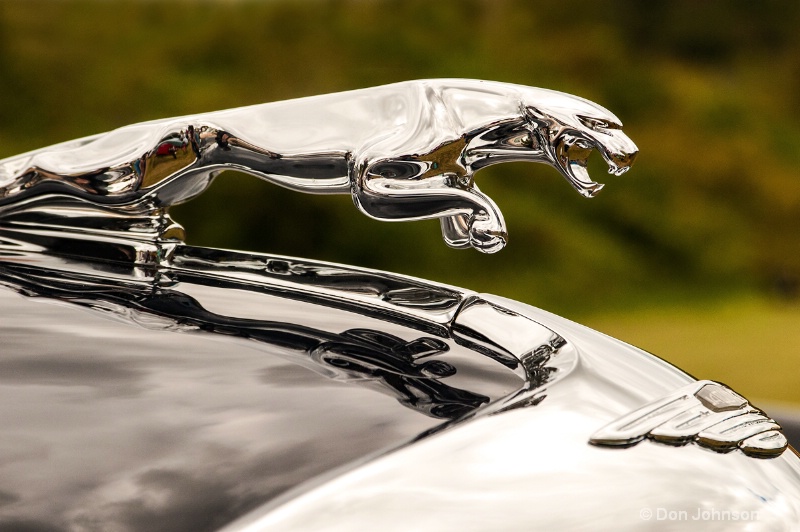 Jaguar Logo