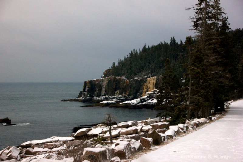 Otter Point in Winter