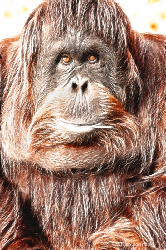 Artistic Orangutan