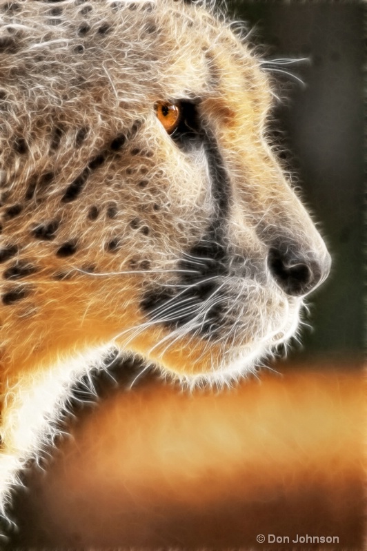 Cheetah Profile-Fractalius