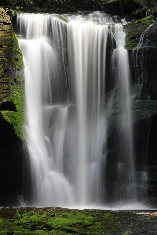 Elakala Falls