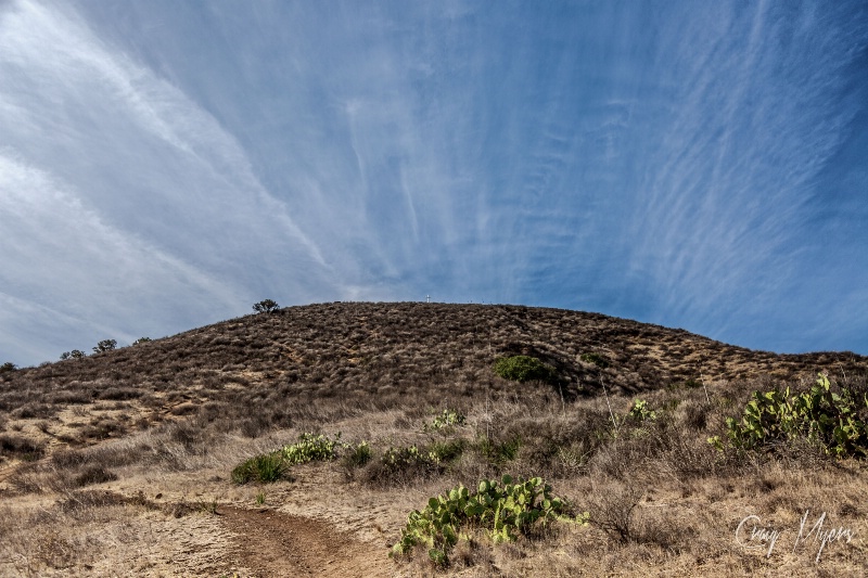 Mount McCoy Trail