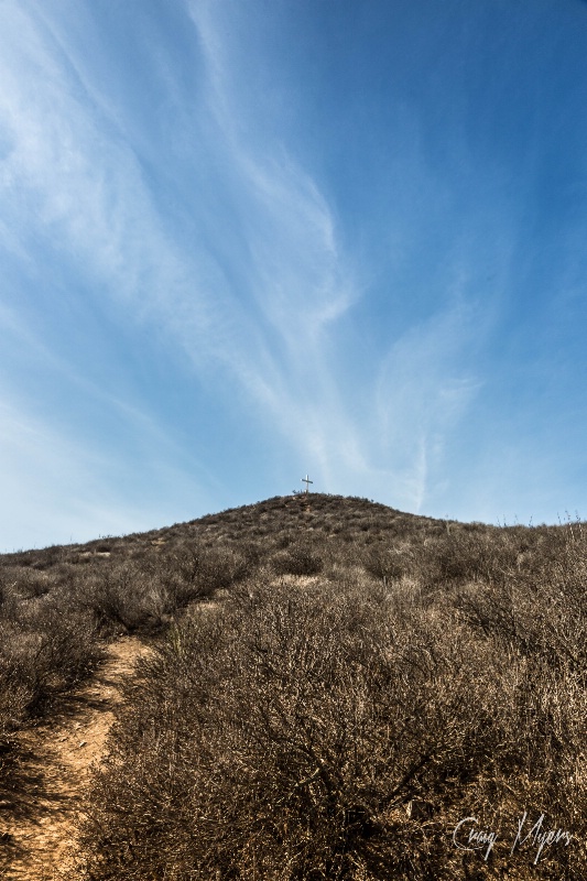 Mount McCoy Trail