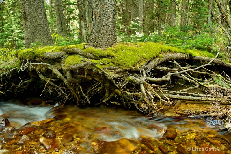 A river runs through it