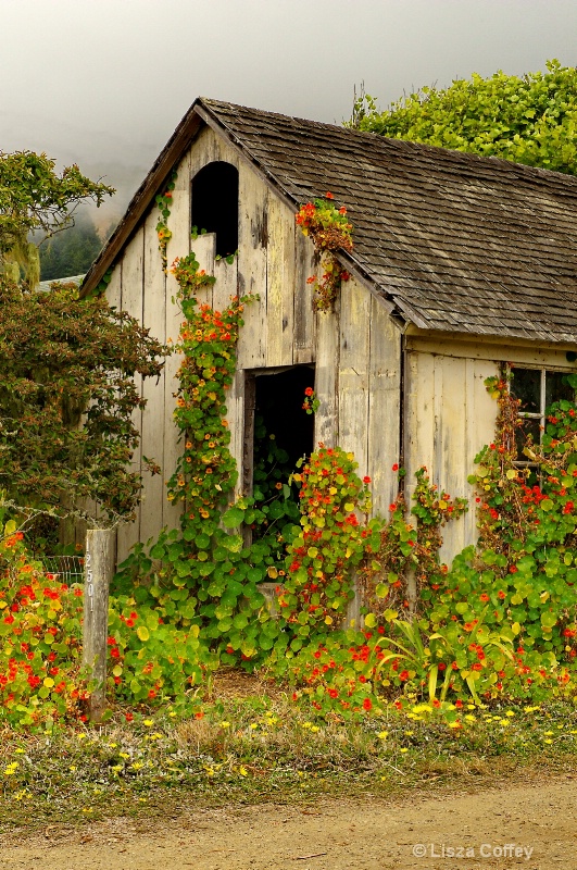 abandoned dreams