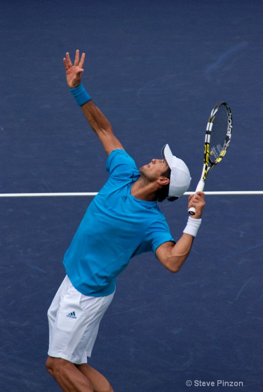 Fernando Verdasco