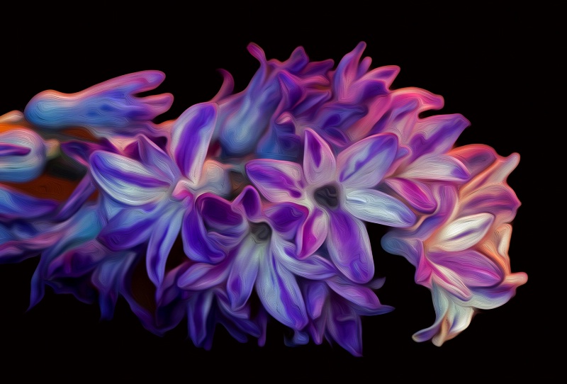 abstract hyacinth