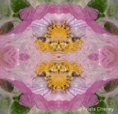 Cosmo in ice II - kaleidoscopic