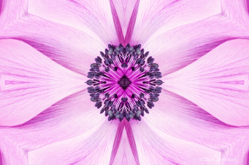 Abstract Purple Flower #2
