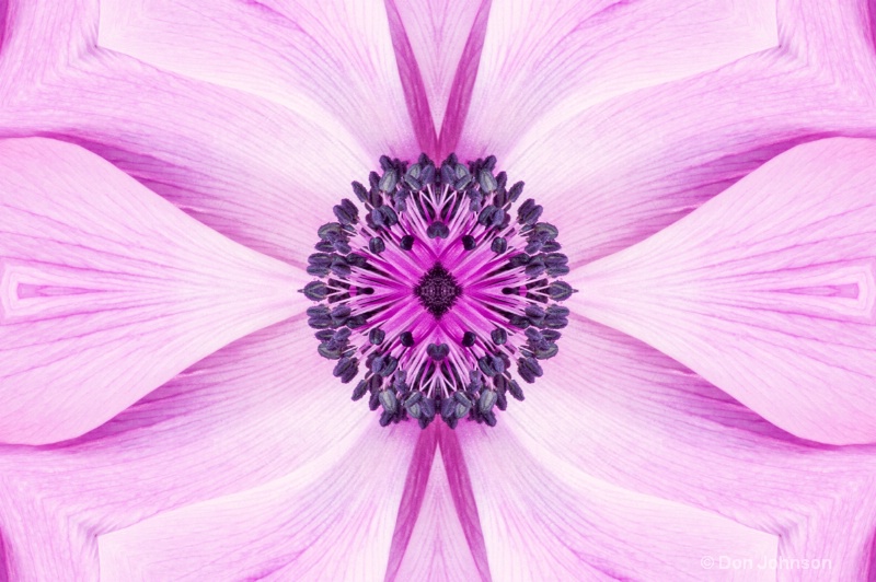 Abstract Purple Flower #2