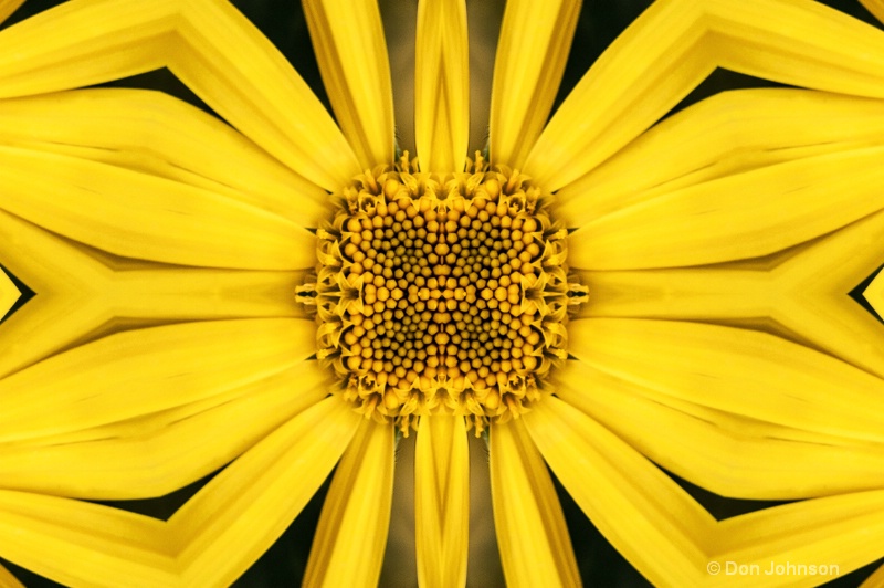 Abstract Yellow Daisy