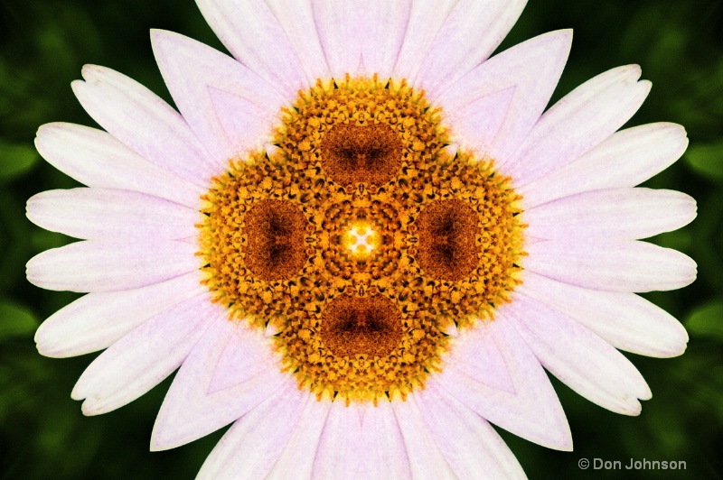 Daisy-Kaleidoscope