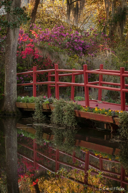 The Red Bridge ~ Magnolia Gardenes