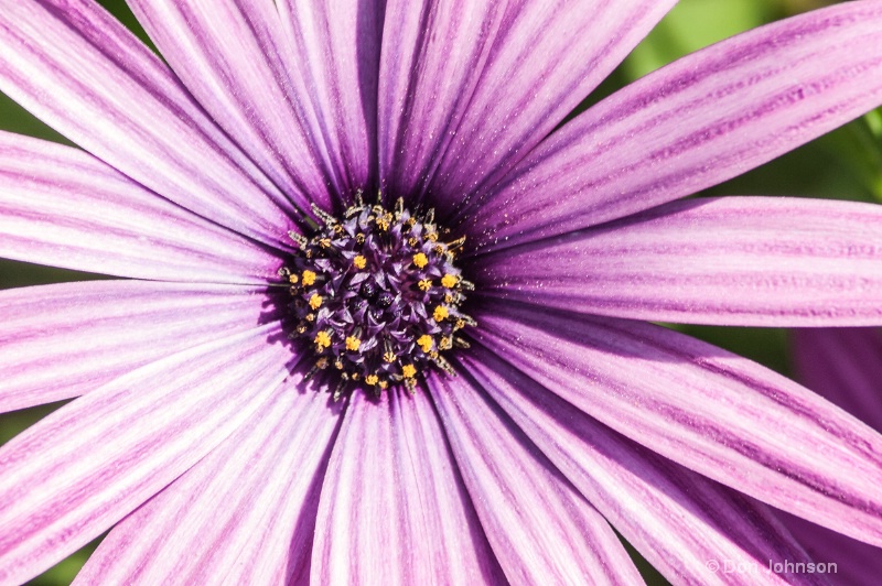 LA Flower