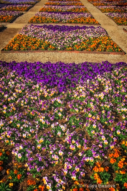 Quilt Garden. 