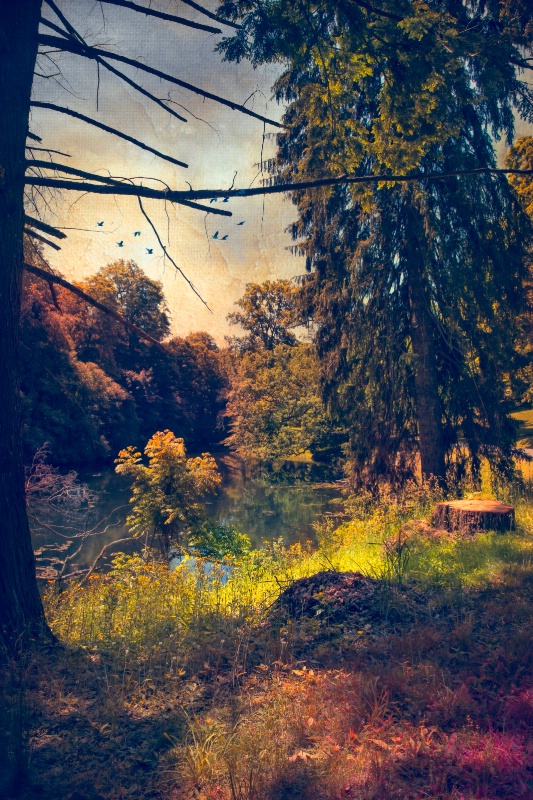 Late Afternoon Symphony