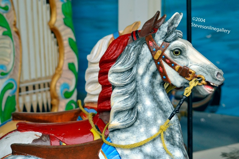 Merry-go-round pony