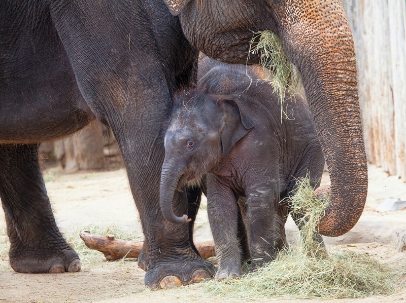 Moments with Mom