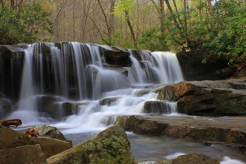 Jonathan Falls